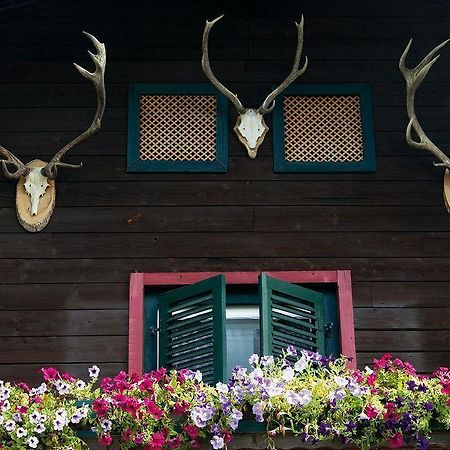 Angerer Alm Hotel Sankt Johann in Tirol Zewnętrze zdjęcie